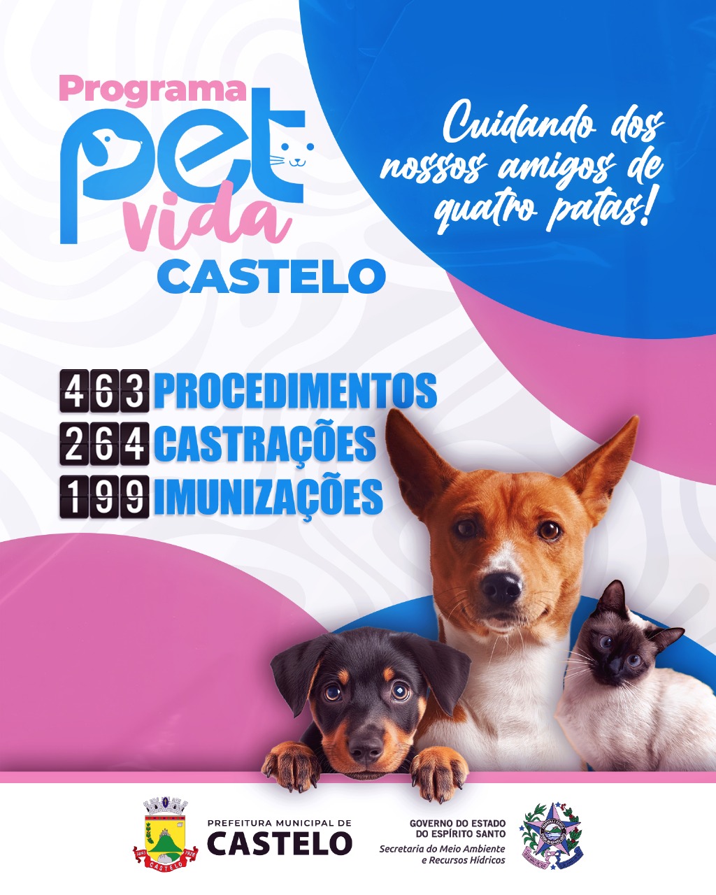 Castelo adere ao “Pet Vida” e realiza centenas de procedimentos em favor dos animais