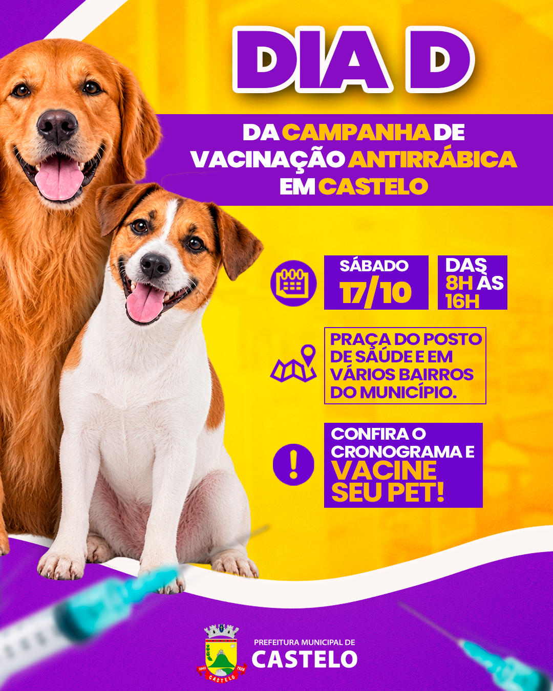 Dia D da Campanha de Vacinação Antirrábica acontece em Castelo no sábado, 17 de outubro